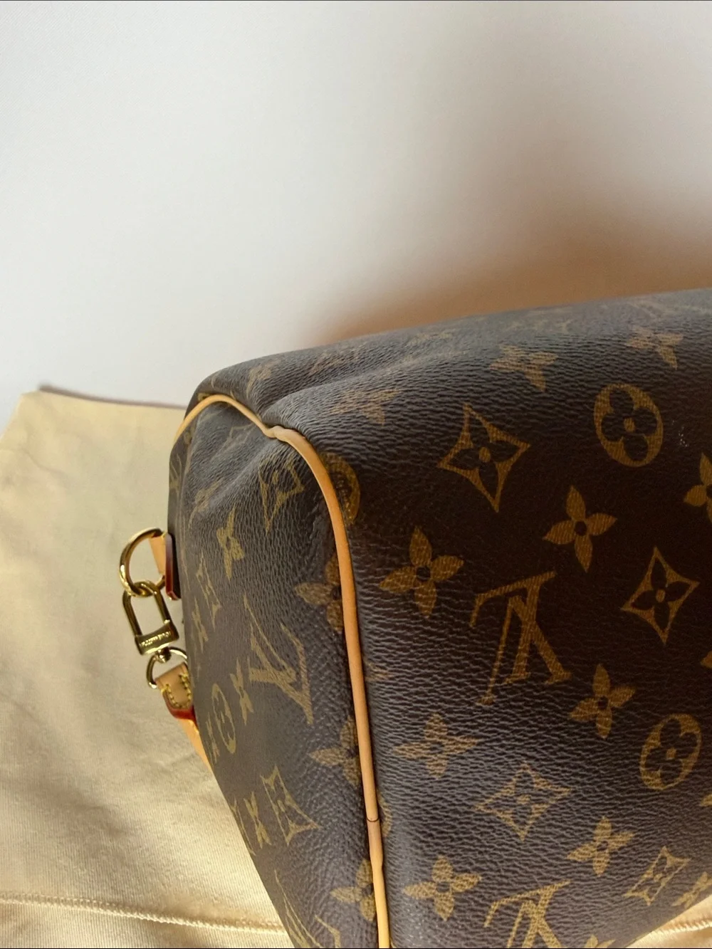 Louis Vuitton Speedy 30 Crafty